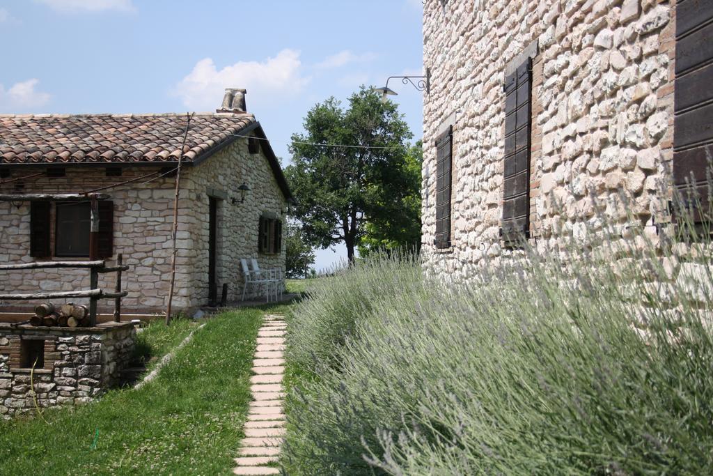 Agriturismo Valdifiori Sassoferrato Exteriér fotografie